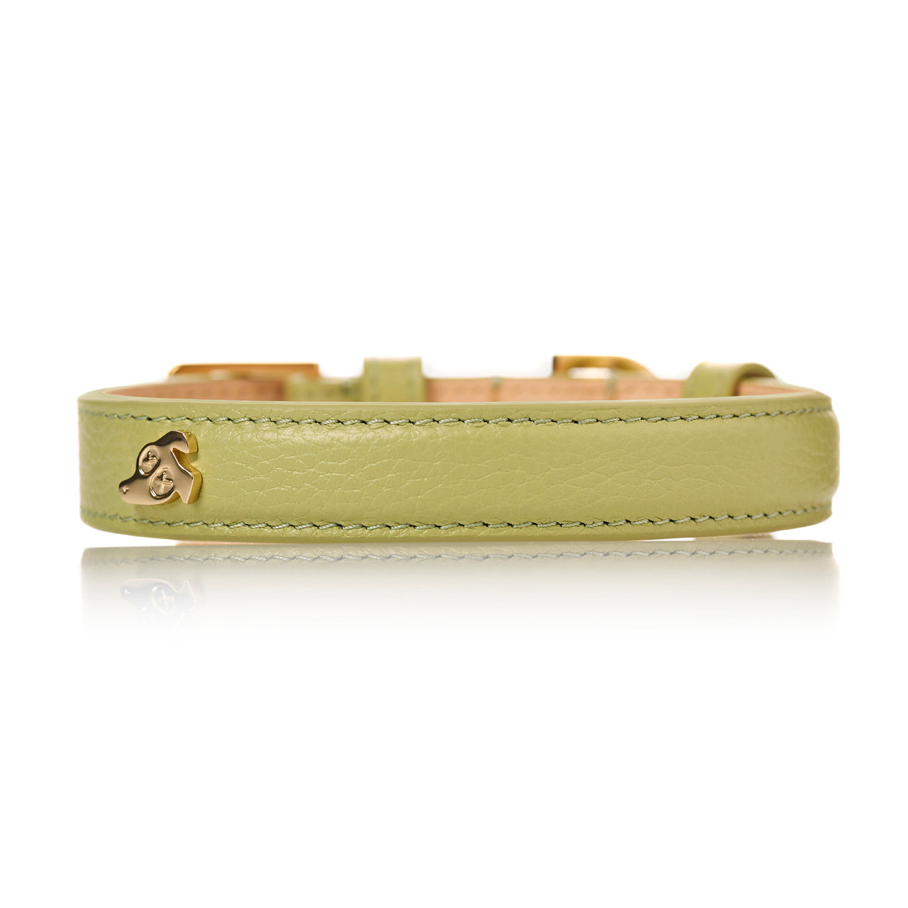 Leather Dog Collar - Spring Green