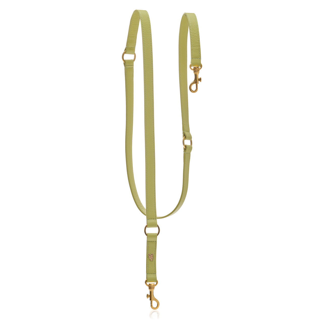 Adjustable Leather Dog Leash - Spring Green