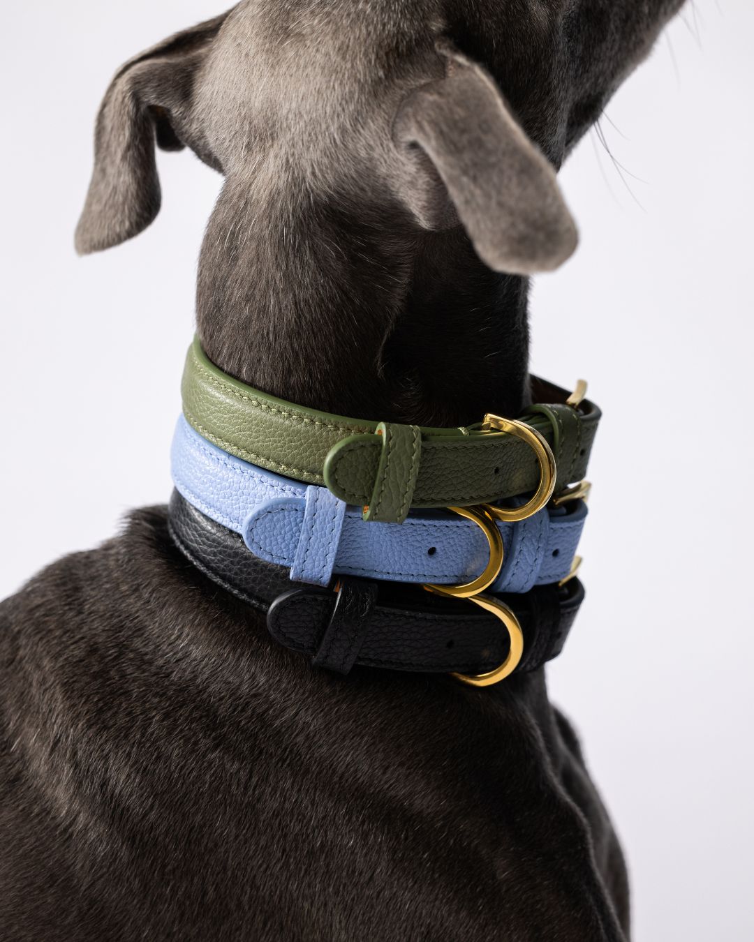 COLLARS