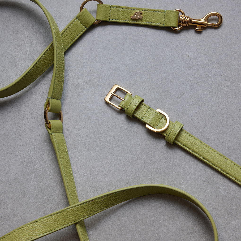 Adjustable Leather Dog Leash - Spring Green