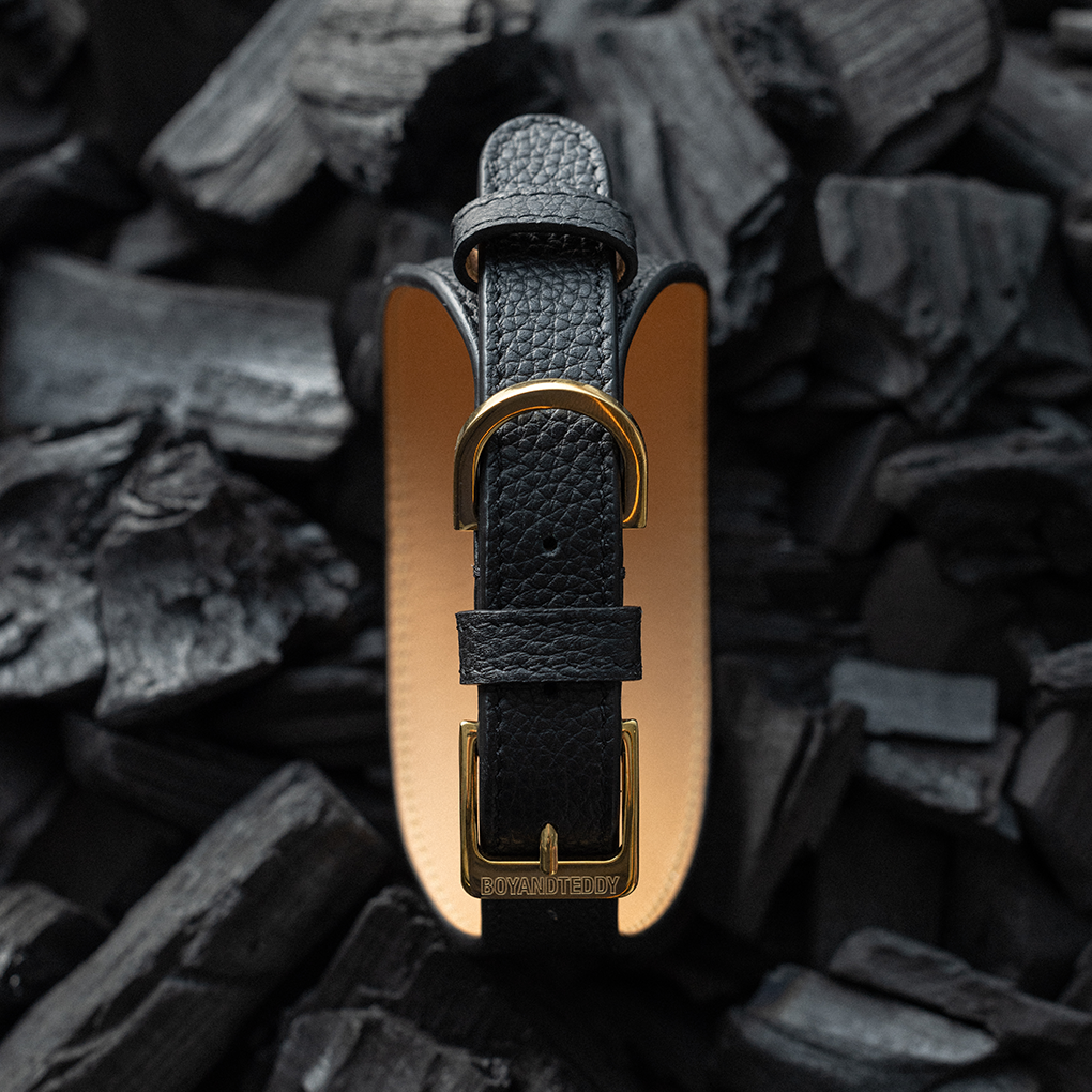 Wide Leather Dog Collar - Black
