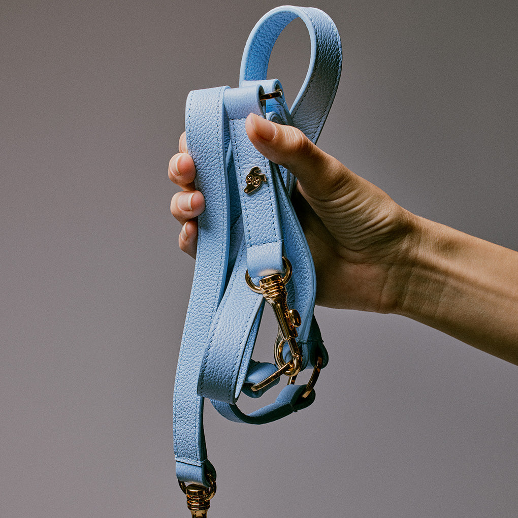 Adjustable Leather Dog Leash - Ciel Blue