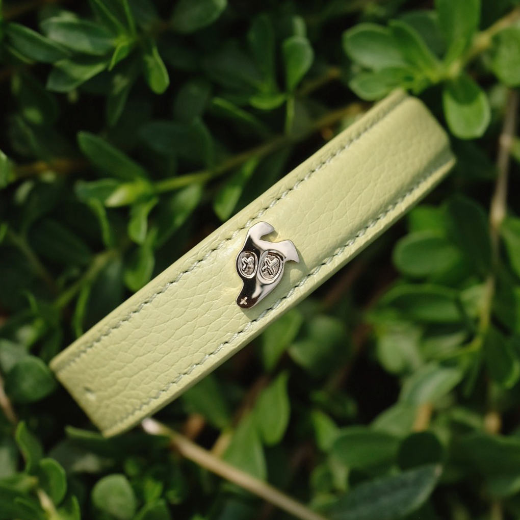 Leather Dog Collar - Spring Green
