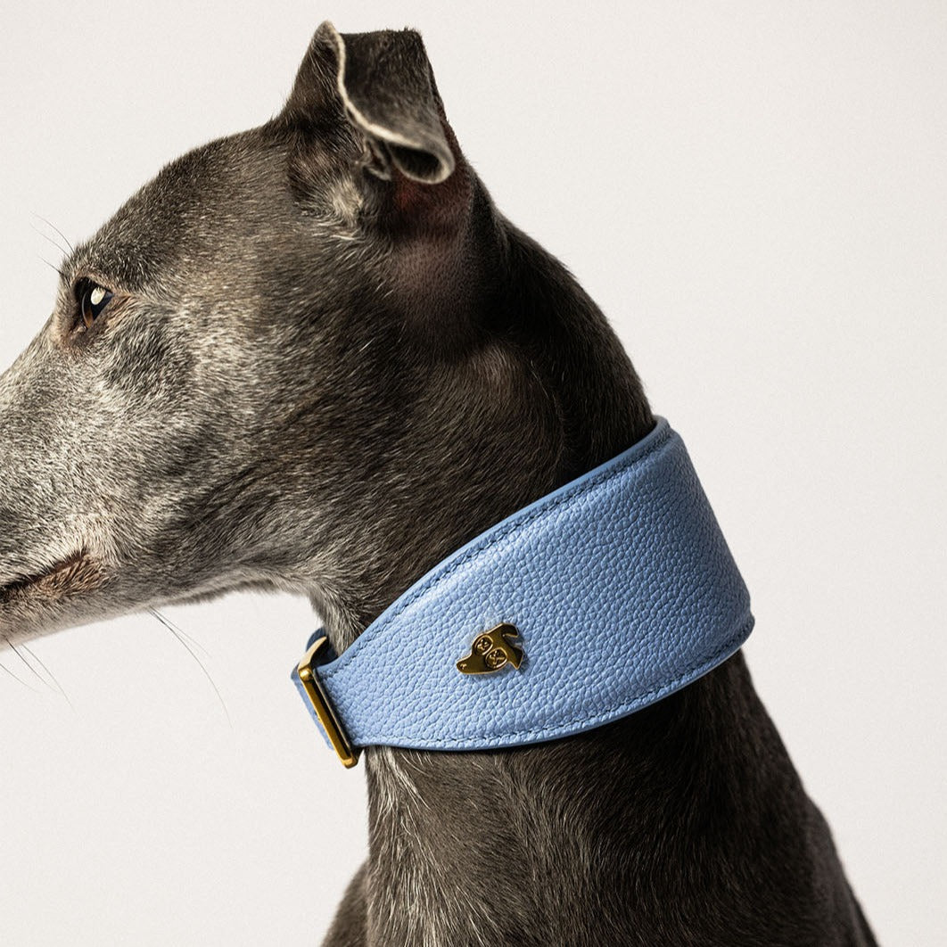 Leather Dog Collar (for Greyhounds) - Ciel Blue