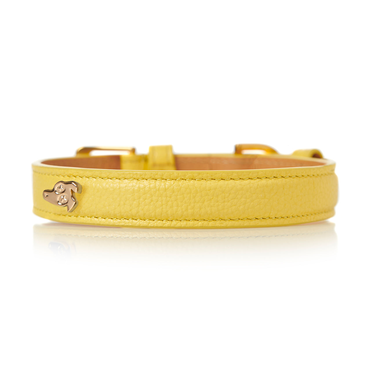Leather Dog Collar - Lemon Squeeze