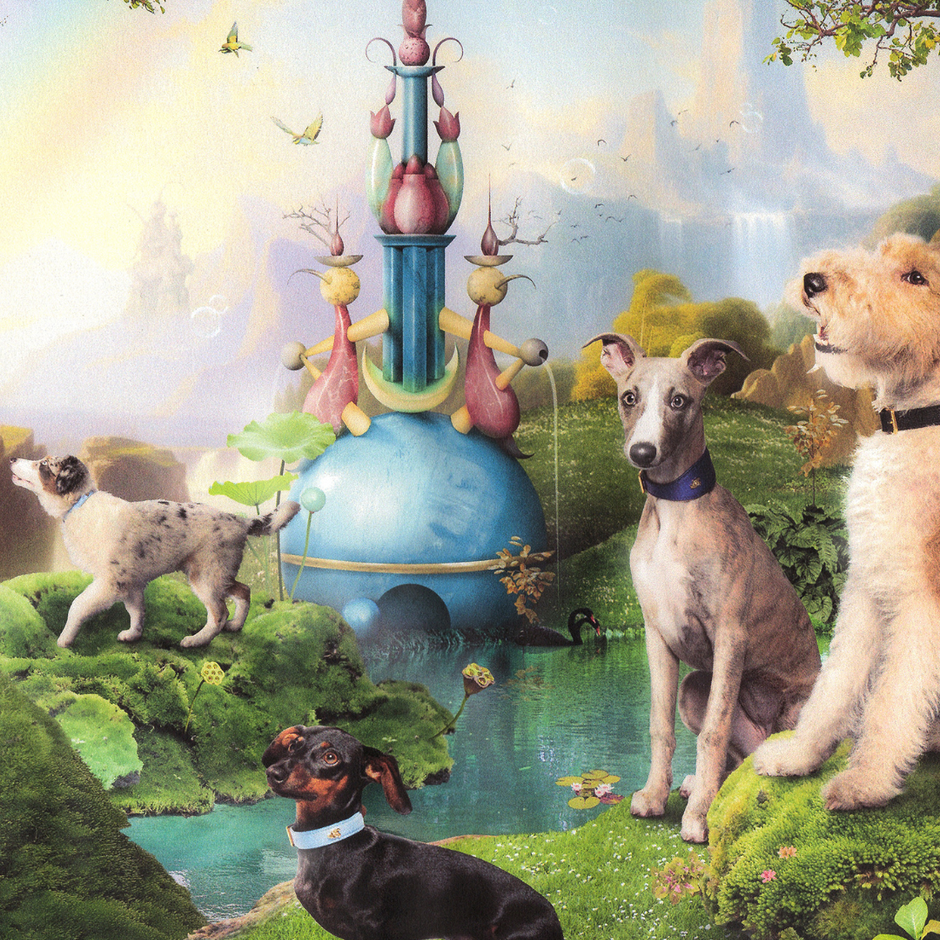 A group of dogs — including a whippet, dachshund, greyhound, and Airedale terrier — gather in a magical, painterly meadow with lush moss and exotic flowers each wearing a BOYANDTEDDY collar.