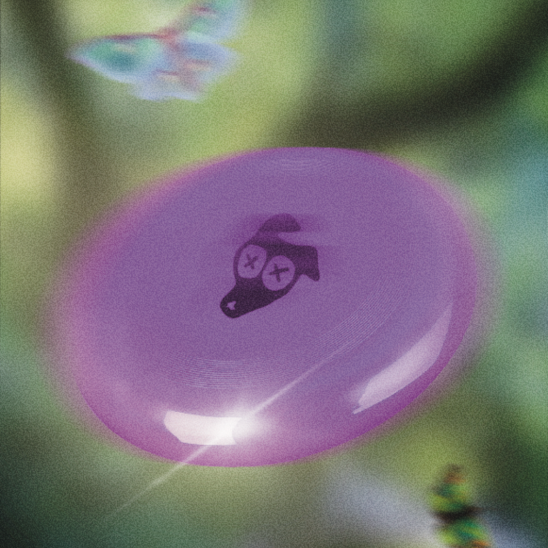 A purple BOYANDTEDDY frisbee with the brand logo, floating against a soft blurred green background with two small butterflies.
