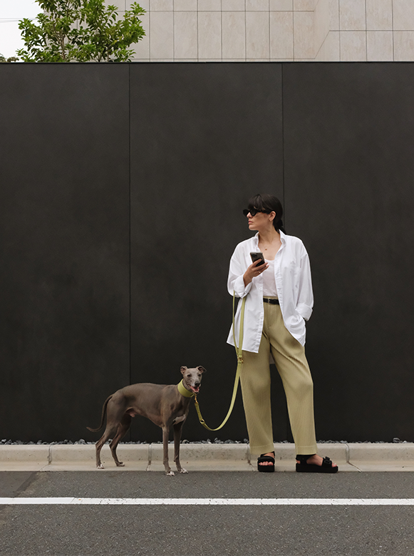 stylish dog owner with Whippet in the streets of Japan