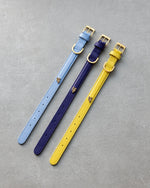 Three regular sized dog collars lined-up next to each other on a concrete background. The colours shown are ‘Ciel’ (light bleu), ‘Eggplant’ (deep purple) and ‘Lemon Squeeze’ (bright yellow). 
