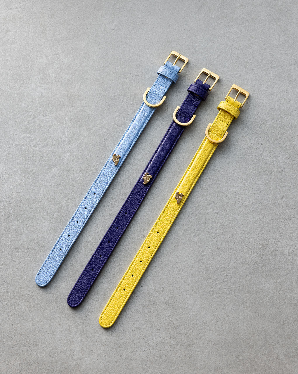 Three regular sized dog collars lined-up next to each other on a concrete background. The colours shown are ‘Ciel’ (light bleu), ‘Eggplant’ (deep purple) and ‘Lemon Squeeze’ (bright yellow). 