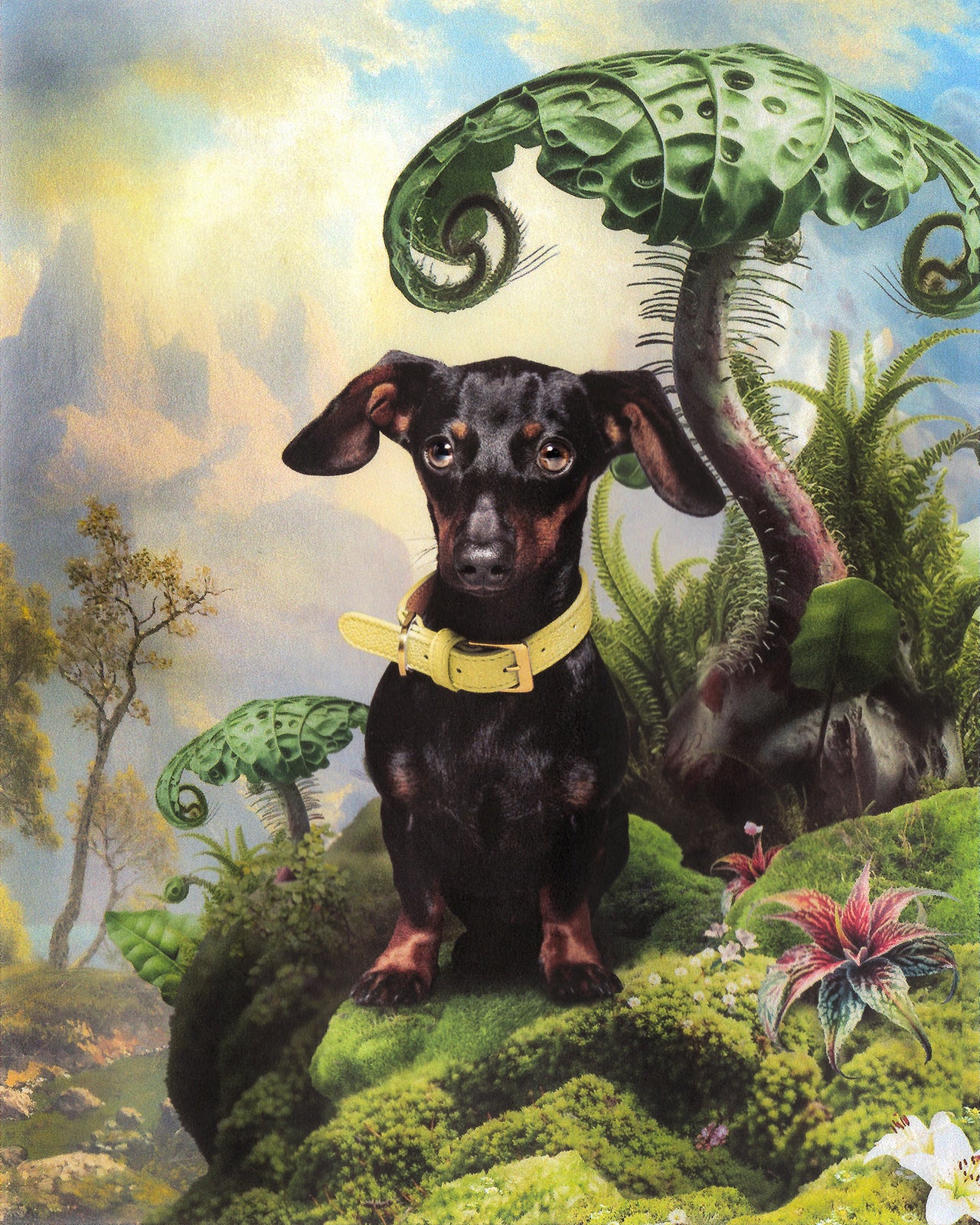 A black and tan dachshund wearing a yellow BOYANDTEDDY collar, standing on mossy rocks in a surreal painterly landscape with giant curling ferns and exotic flowers.