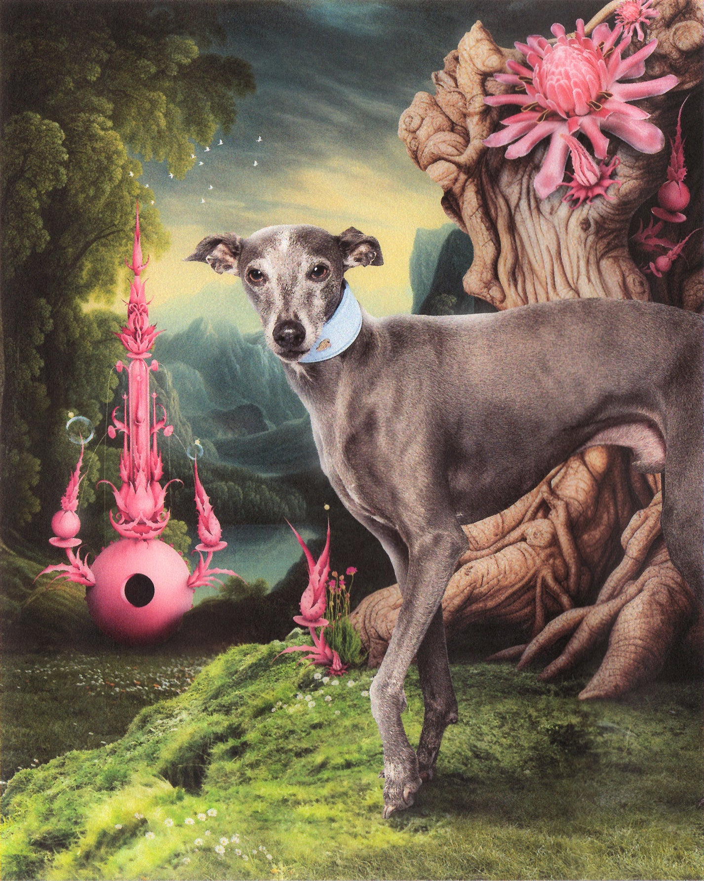 A grey Italian greyhound wearing a light blue BOYANDTEDDY collar, standing in a surreal painterly landscape with pink fantastical sculptures, giant tree roots and exotic flowers.