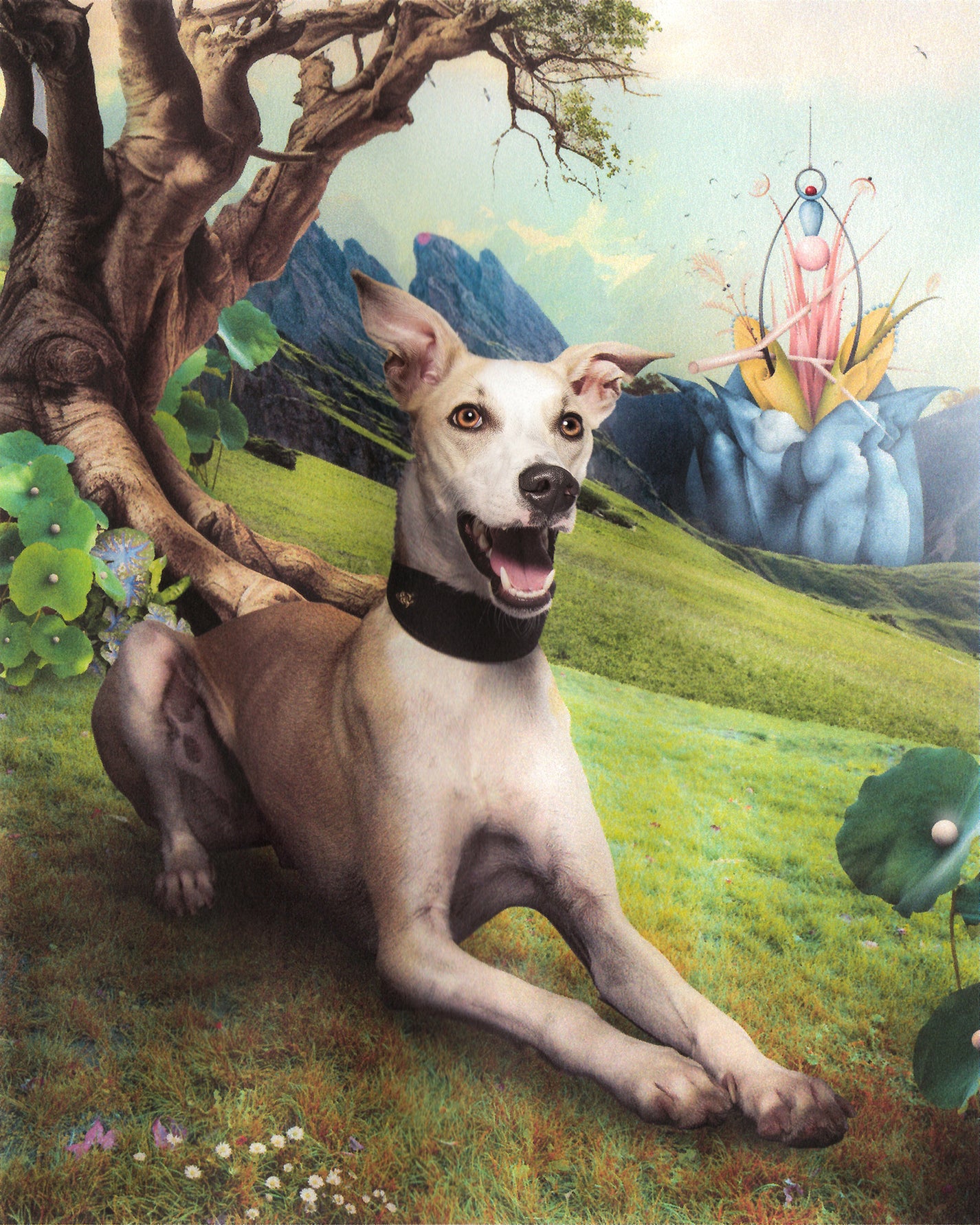 A happy cream lurcher wearing a black BOYANDTEDDY collar, lying on a grassy hillside next to an ancient gnarled tree in a surreal painterly landscape with blue rocky formations and fantastical sculptures.