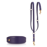 Matching Sparky Dog Collar and Leash - Eggplant (for Greyhounds)