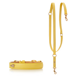 Matching Toto Dog Collar and Leash - Lemon Squeeze