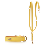 Matching Toto Dog Collar and Leash - Lemon Squeeze