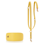 Matching Sparky Dog Collar and Leash - Lemon Squeeze (for Greyhounds)