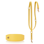 Matching Sparky Dog Collar and Leash - Lemon Squeeze (for Greyhounds)