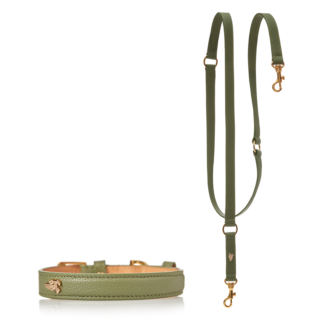 Matching Toto Dog Collar and Leash - Olive