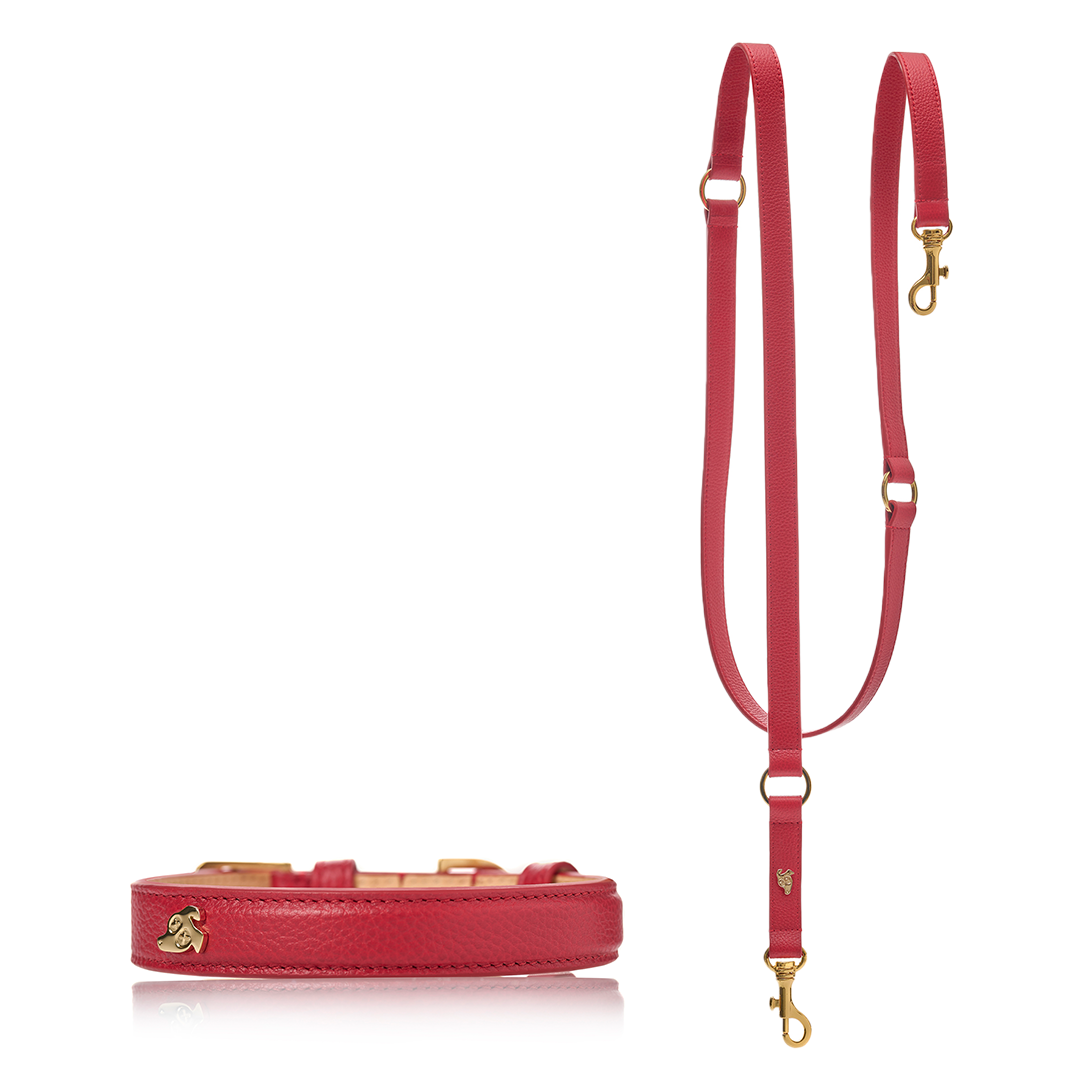 Matching Toto Dog Collar and Leash - Spicy Red