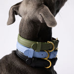 Toto Dog Collar - Ciel