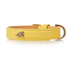 Toto Dog Collar - Lemon Squeeze