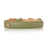 Toto Dog Collar - Olive